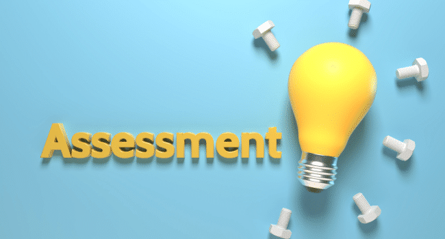 Software Assessment